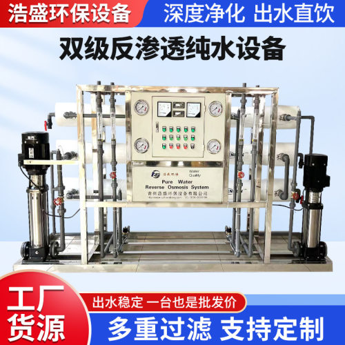 双级反渗透设备高纯水制取装置二级RO膜纯水净化水处理系统厂家