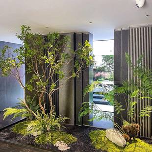 精品马醉木绿植仿造景橱NEJ饰窗植物室内真榕树装树大假树型简约