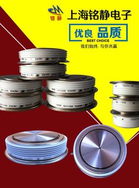 S丹尼克斯DS2101SV/DS2101SY/DNB63/DS222002SF/JOKDS102V/DS210S