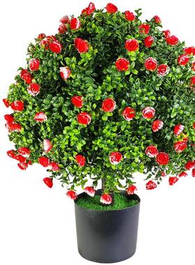 马绿逊热销仿真球植型盆景亚薰衣草盆栽黄杨木带红果86099白果球