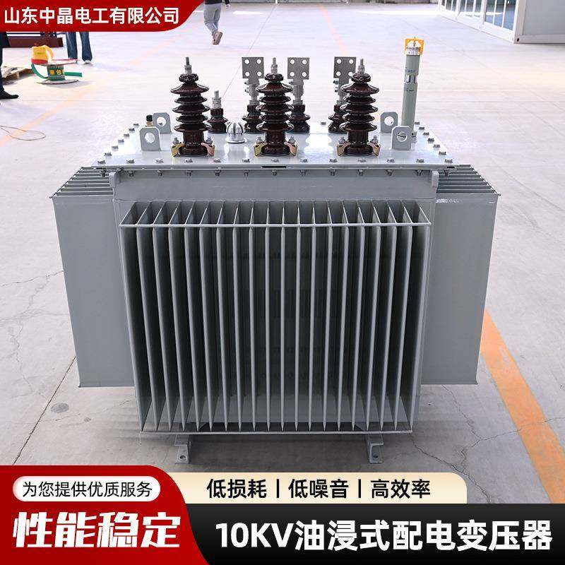源头家直供10kV油浸式配电变配压器能效等级齐S13-M-40全油浸式压