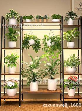 花架置物阳架台内多肉爬室藤45205花架子植物花盆架跨境客厅落地