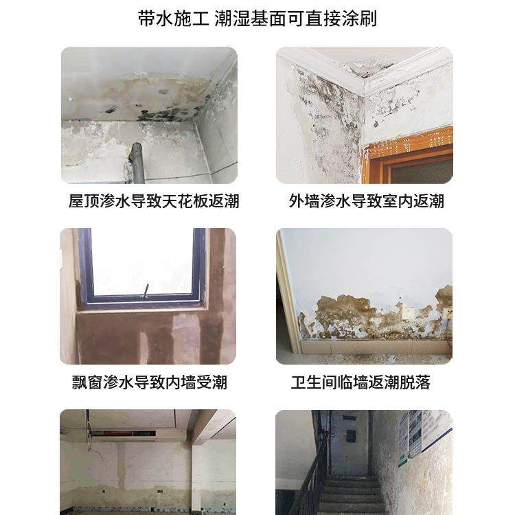 背水面水墙DOR涂料补漏地下室负压防潮材料内防面屋渗水顶防霉返