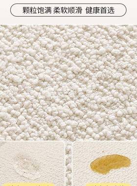 2025新款双面迪绒飘窗泰垫窗台四NNS季通用阳台定坐垫轻奢感制XC