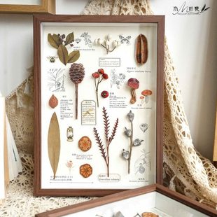 植物标本装 饰画 饰画相框家居摆台法式 复古百搭电视背景墙组合装