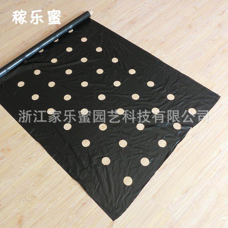 稼乐蜜农膜打孔地膜农用除草保温保湿蔬菜树苗水果塑料薄膜黑地膜