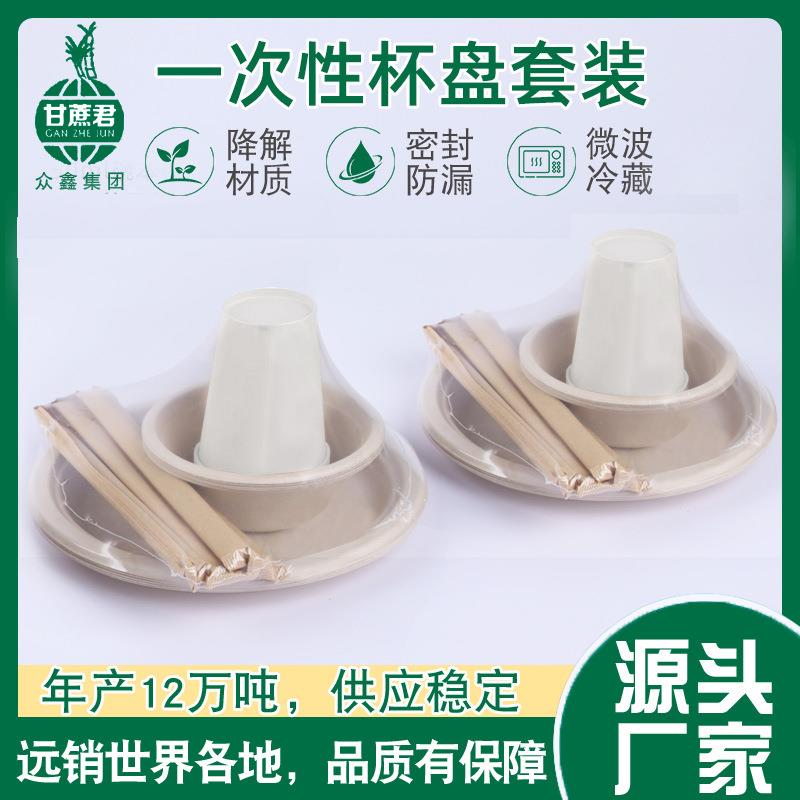 一次性碗筷套装5人份盘碗杯筷餐具野炊露营可降解纸浆聚会分餐盘