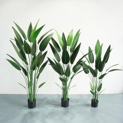 仿真绿植美人蕉天堂鸟水美人假植物盆景摆件造景盆栽植物室内绿植
