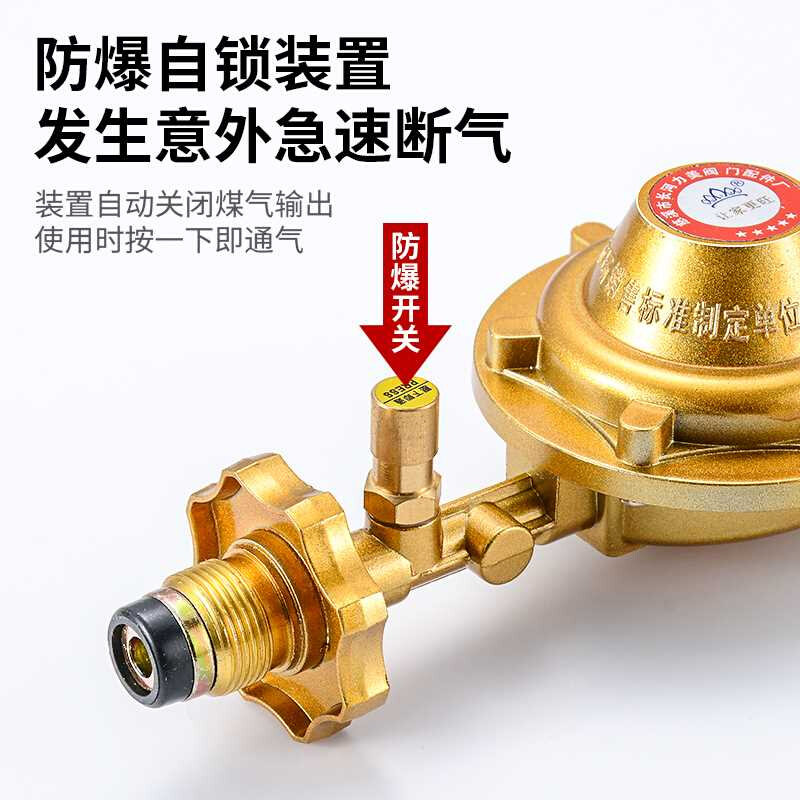 直销煤气减压阀双嘴双头液化气带表家用热水器煤气灶自闭安全防漏