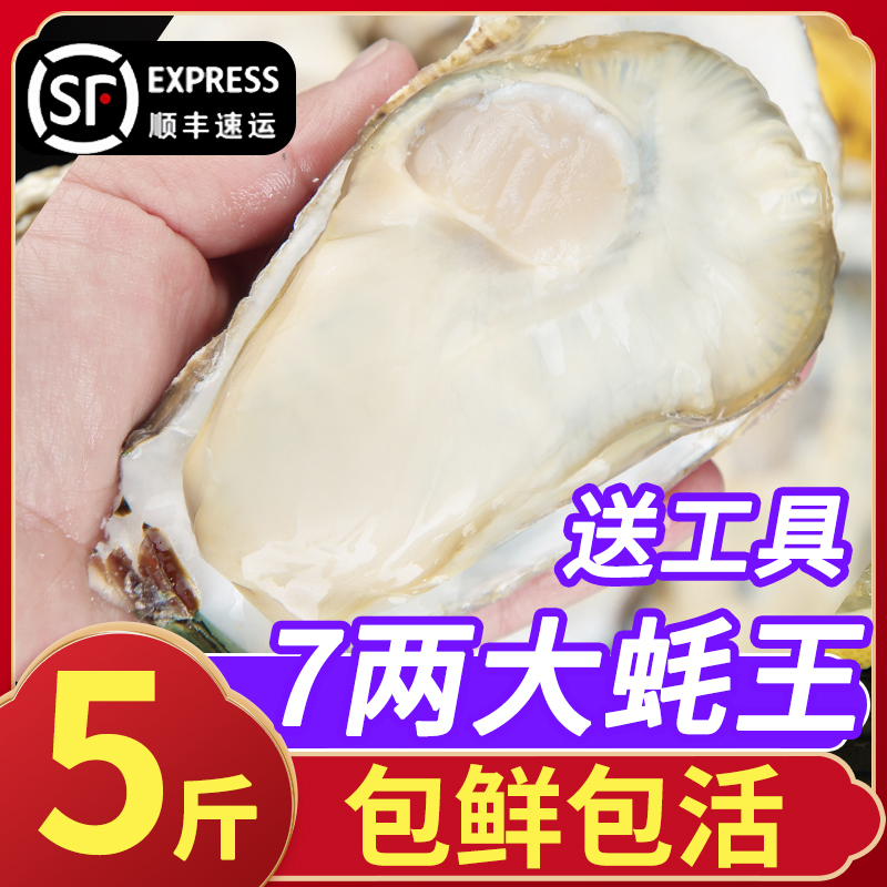 5斤特大生蚝王！高评分！高品质