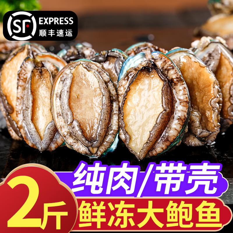 大号鲍鱼肉！鲜活海捕！高品质！