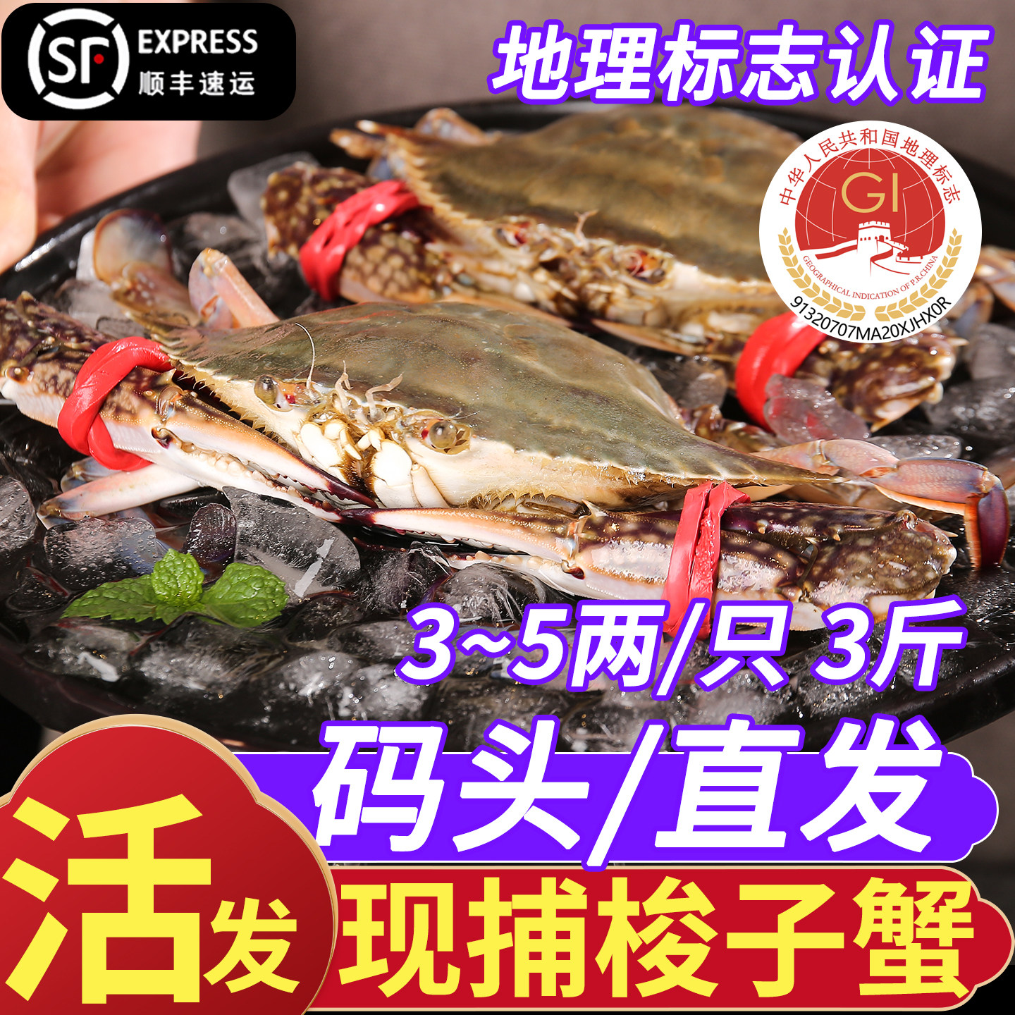 【保鲜不保活】连云港赣榆冰鲜梭子蟹3斤大飞蟹新鲜海蟹码头直发