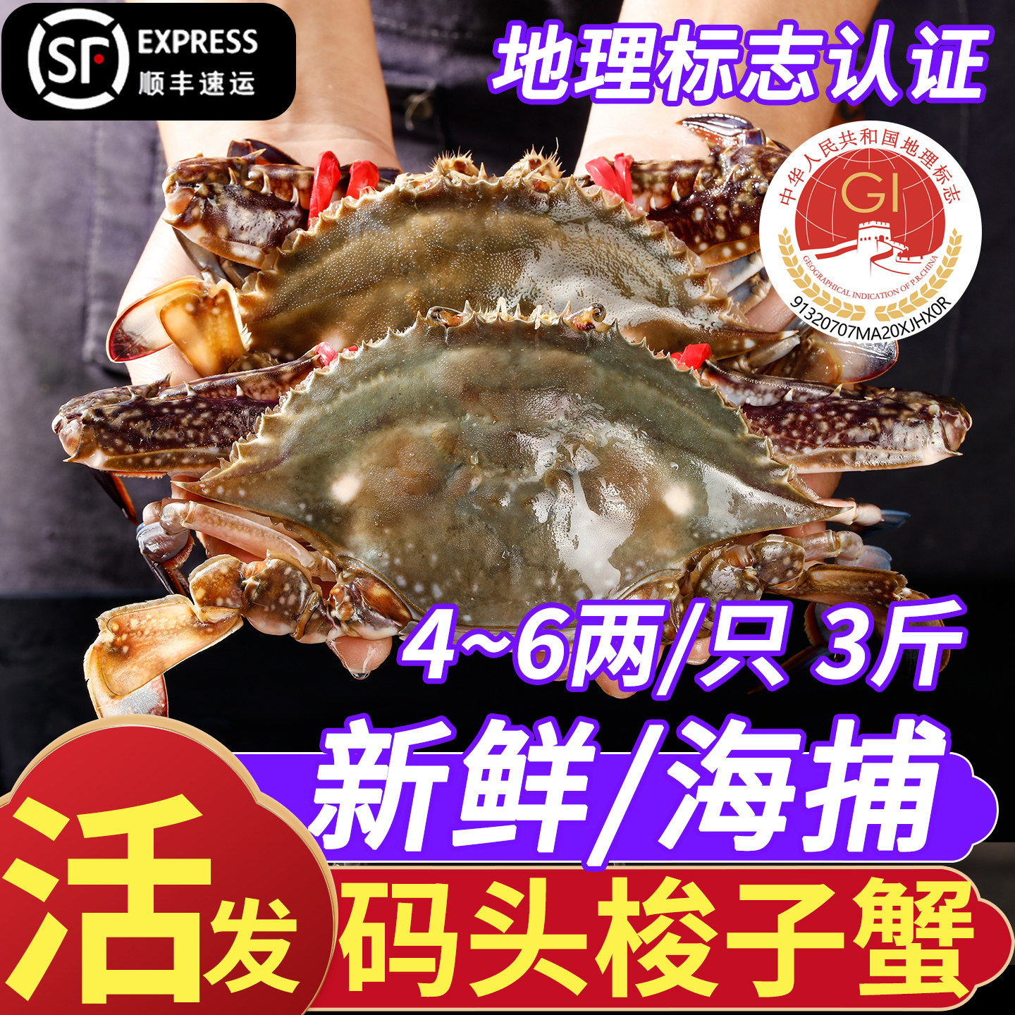 保鲜不保活】冰鲜梭子蟹码头直发连云港赣榆大飞蟹新鲜海蟹3斤装
