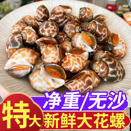 新鲜花螺！高品质！高评分！
