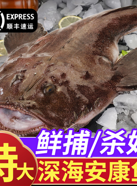 安康鱼新鲜冷冻蛤蟆鱼魔鬼鱼大嘴鱼刺深海鲜鮟鱇带鱼肝鱼肚水产