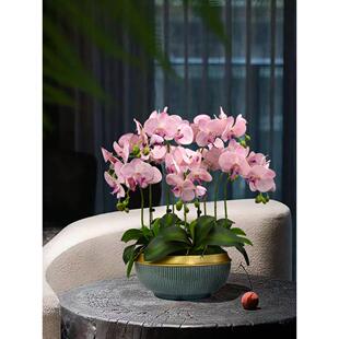 蝴蝶兰人造花肉质兰花感觉优雅的假花盆栽客厅餐桌大堂前台花卉装