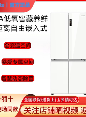 卡萨帝冰箱BCD-507WGCTDM4WDU1/507WGCTDM4G6U1嵌入式家用冰箱