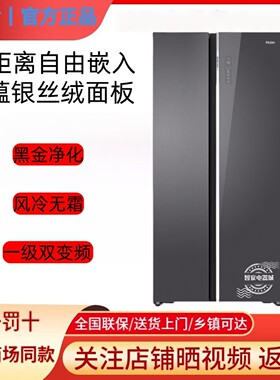 Haier/海尔BCD-551WLHSS49XA对开门零嵌入黑金净化大容量冰箱
