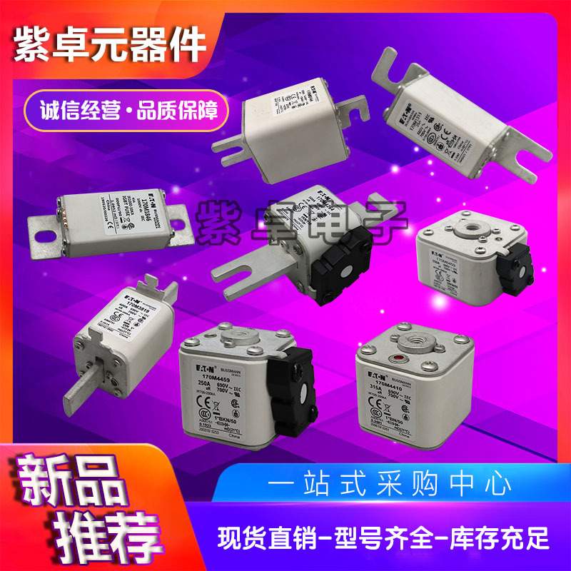 170M2713 170M2714 170M2715 170M2716 170M2717巴斯曼快速熔断器
