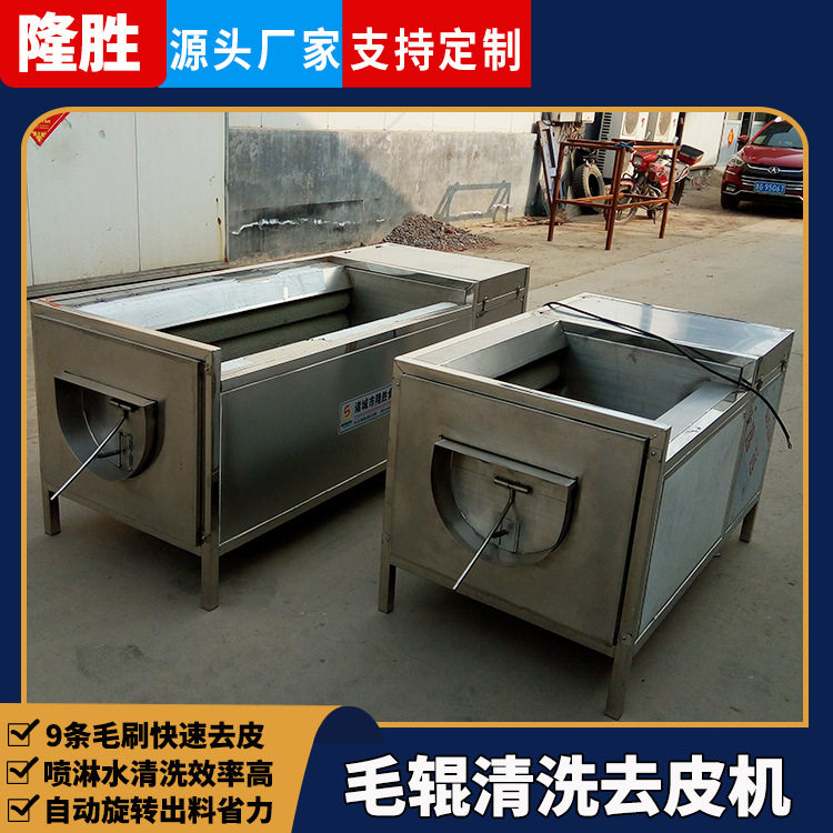 隆胜粽叶毛辊喷淋清洗机 毛辊荷叶清洗设备 小型甜菜根清洗去皮机