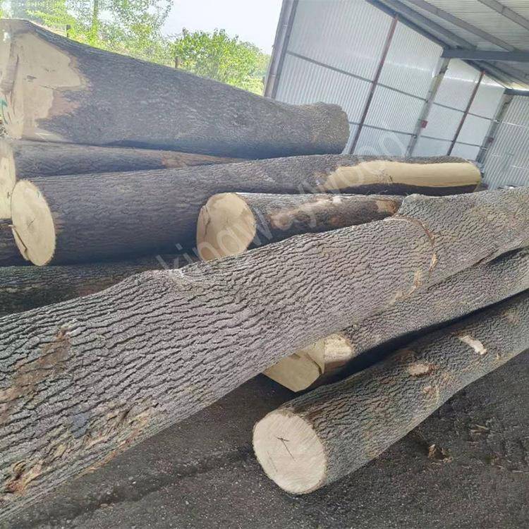 白蜡木原木进口实木带皮木头欧洲白腊树圆木家居板原材料装饰