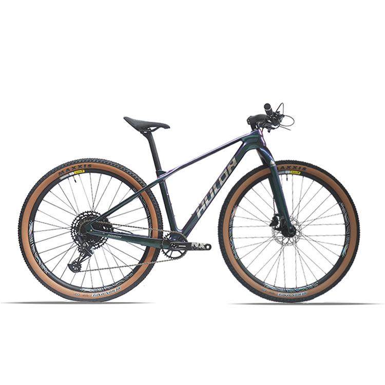 哈路达HULDA29寸碳纤维NX12速内走线碟刹山马山地车成人越野单车