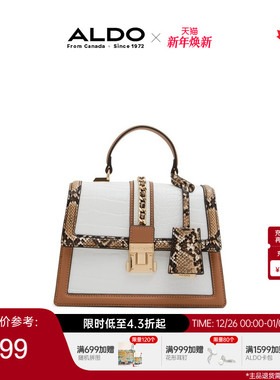 ALDO手提包斜挎包都市通勤包包百搭女包简约AHCS24A72