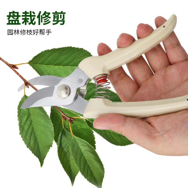 花卉枝嫁接剪园艺剪刀 不锈钢树枝修枝剪 果树花木剪摘果剪工具