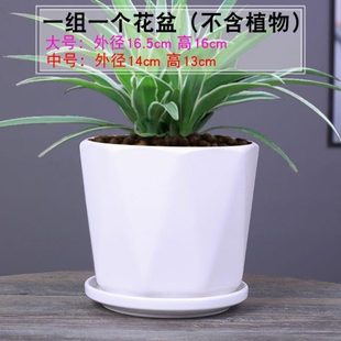 绿萝托盘家用大号清仓高档花吊兰一体 透气花盆带花盆陶瓷创意个性