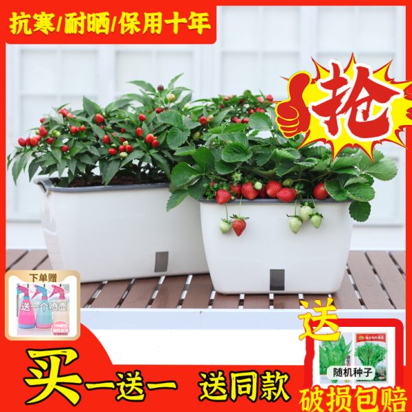 家庭阳台种菜盆种菜神器花盆自动吸水长方形塑料蔬菜懒人种植箱