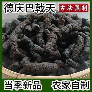 德庆制巴戟天汤料信息新鲜盐制巴戟肉杜仲煲汤泡茶汤料泡酒当季