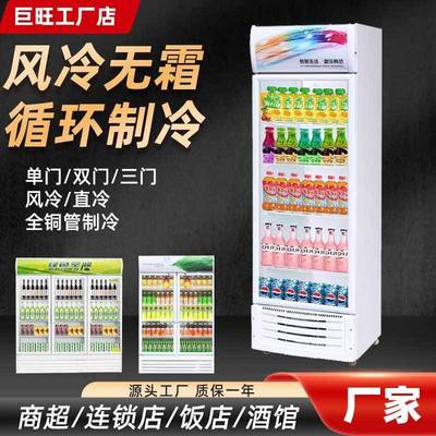 单门立式冰柜300升商超饮料直冷风冷商用冷冻柜冷藏柜冰箱冰柜