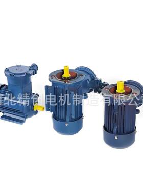隔爆型兼粉尘防爆型电机气体防爆YBX4-100L-23W源头厂家