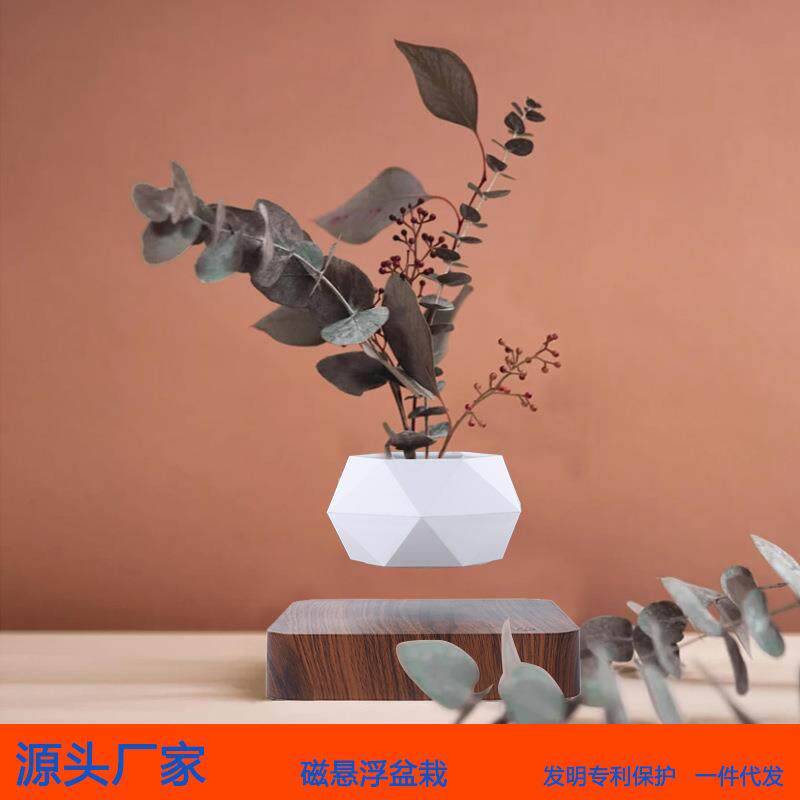 悬浮创意花盆磁悬浮盆栽空中植物悬空客厅公司摆件家居