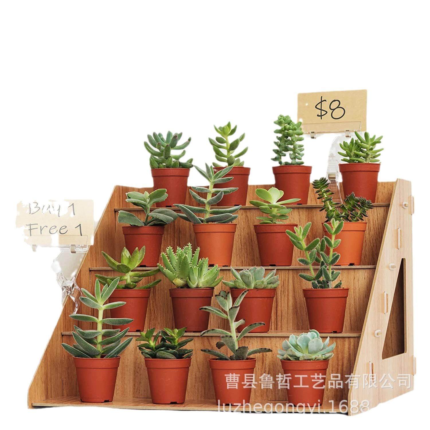 木质置物架三层蛋糕展示架实木花盆多肉植物整理架梯形收纳架,收纳整理,书桌收纳置物架,淘宝优惠券,粉丝福利购,淘宝优惠卷