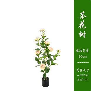 速发茶植树绿梅玫瑰花树盆栽橱窗造景植装设计物饰花