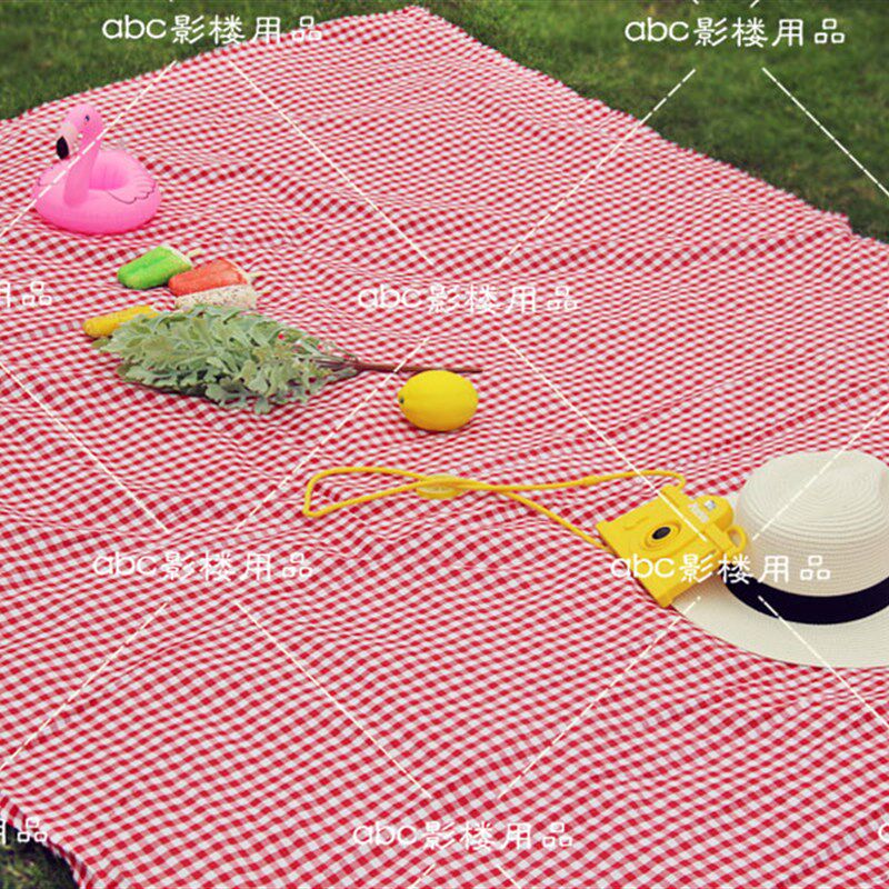 速发影楼摄影道具旅拍道道外具海边拍照景具沙滩毯方格背景布野餐