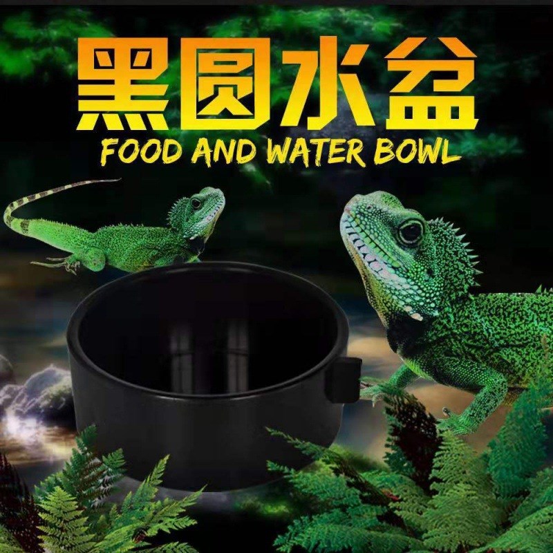 速发爬宠水盆蜴盆乌龟守龟陆宫蜥食食盆豹纹守宫爬虫食盆厂家直销