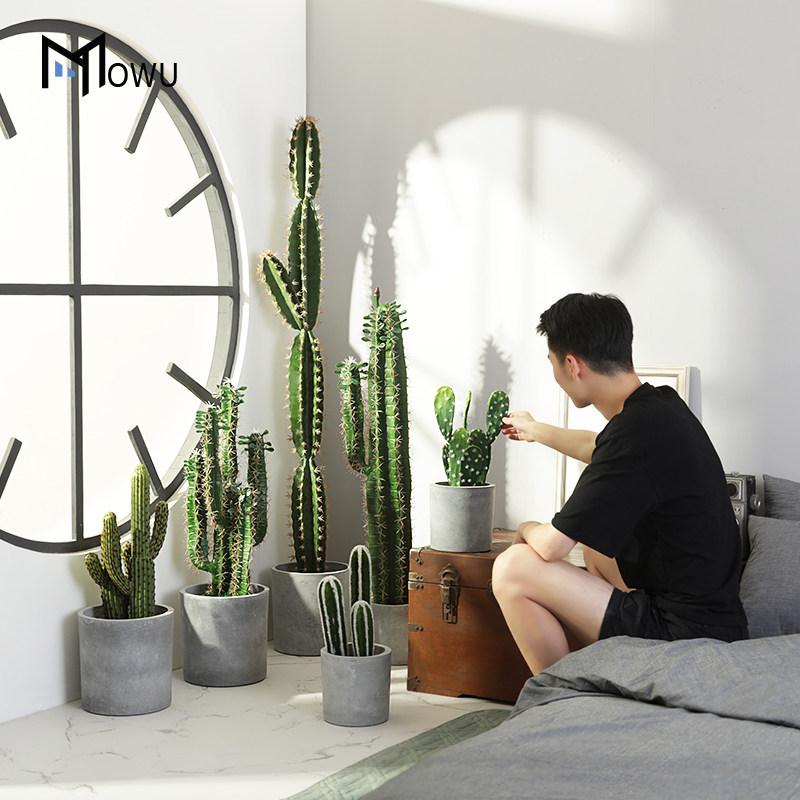 速发植物仙人掌树盆栽大型装件店落地绿植摆装橱窗服饰品