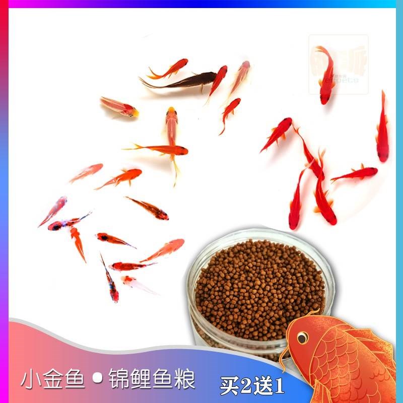 速发小饲料 粮粮小小红鲤鱼 锦鱼食物 鱼食小颗粒 上浮