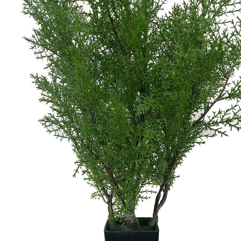 速发柏树圆柏树绿植圣诞叶盆栽仿真植物盆栽罗汉松盆栽室内装饰造