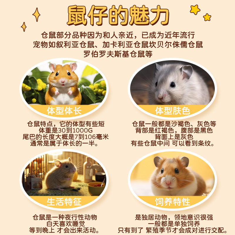 速发仓鼠三线活物一对金丝熊送笼子包活运输合集无需打
