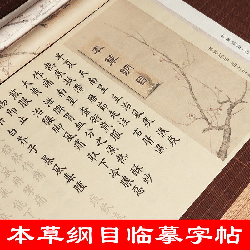 速发本草纲目描红长卷宣纸描红毛笔欧体楷书小楷软笔练钢笔式临慕