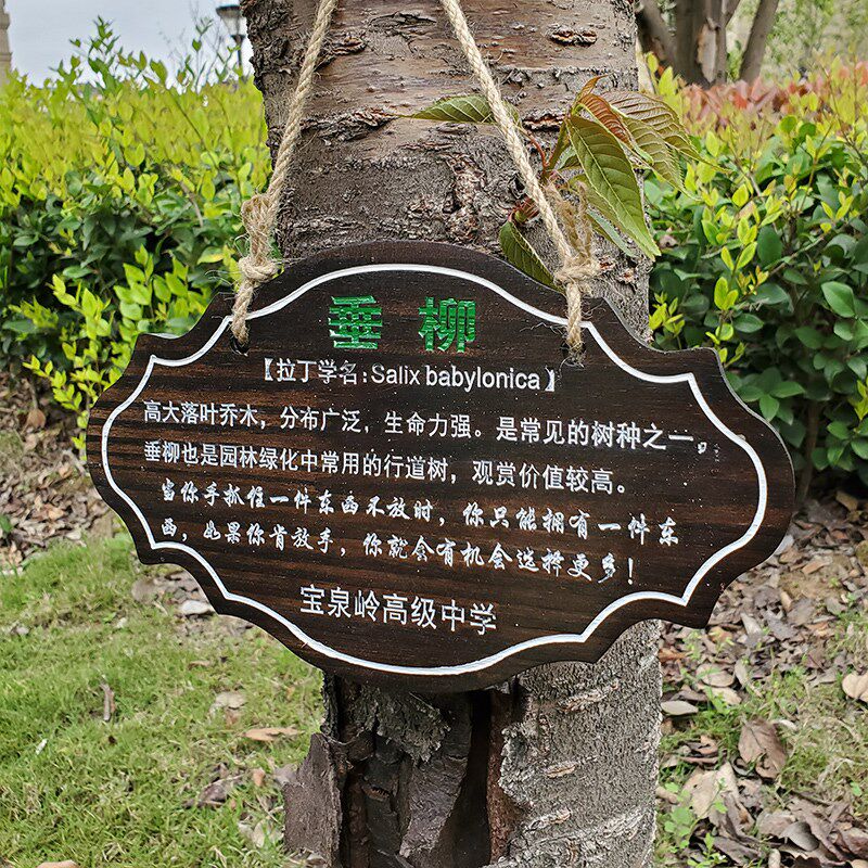 速发树名花草介绍农场花园美丽庭院家用住宅门口指示标识挂牌木牌