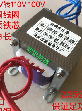 速发变压器ACV20V转AC110V1002自耦110V转220VAC电压转换器