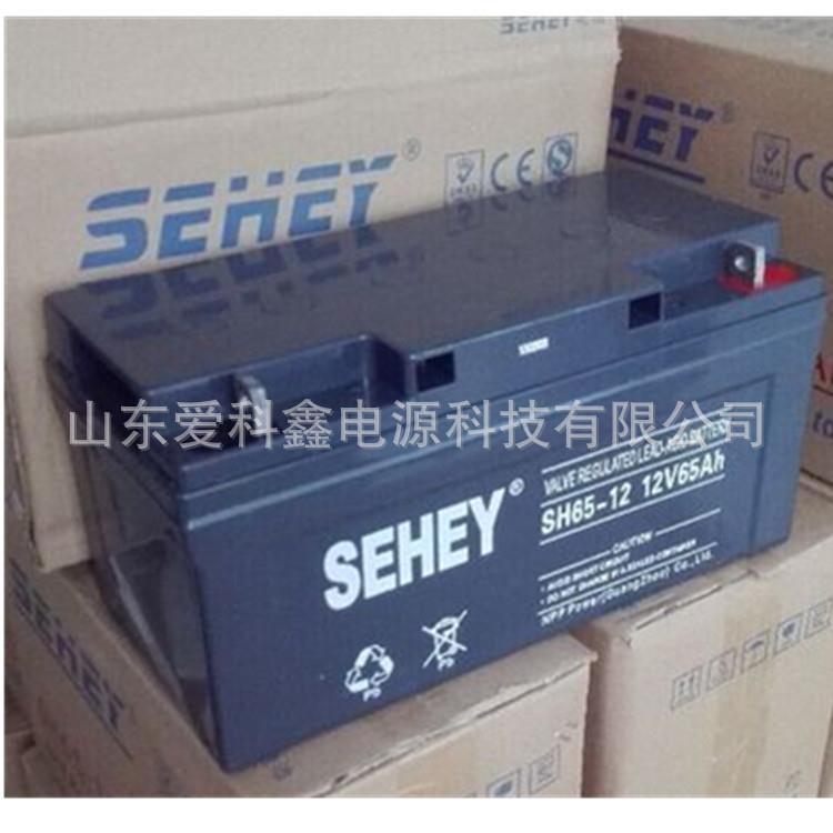 SEHEY西力蓄电池12v65ahNP65-12UPS太阳能路灯免维护蓄电池