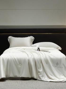 A类全棉蚕丝被双宫桑蚕丝春秋被冬被四季子母被双人加厚被芯