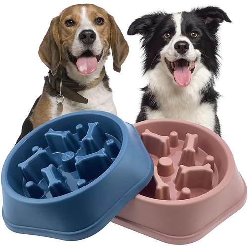 Pet Dog Bowl Dog Slow Feeder Bowl Puppy Cat Slow Eating Dish