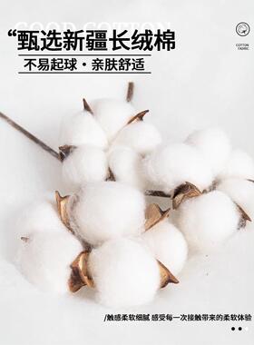 6889531卡通全棉被套单件15x0200x20新款被1030全棉罩床单宿舍床