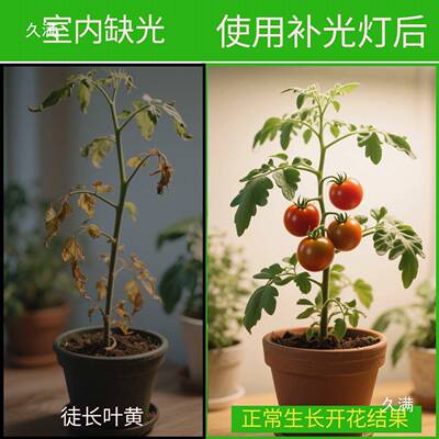 模拟落阳光地谱定时植物OGC补光灯仿太阳全光内大棚室植物生长灯